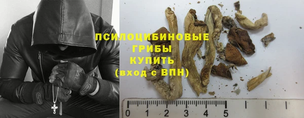 ПСИЛОЦИБИНОВЫЕ ГРИБЫ Балабаново